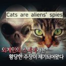 고양이는외계인 이미지