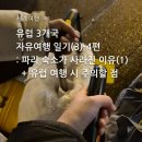 금빛 민박 | [세계여행]12월,1월 유럽 자유여행 파리 숙소가 사라진 이유(유럽 여행 주의점 및 대처법)_3일차(4)