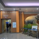 서대문자연사박물관 이미지