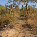 윤증묘소 이미지