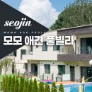 모모애견풀빌라 이미지