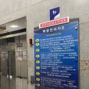 푸른 | 분당 참치 맛집 정자역 맛집｜참치 해체쇼까지 즐기는 이한진 푸른참치 후기🐟