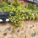 기와마당민박 이미지