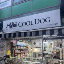 삼숭초등학교 | 애견미용/ 양주 애견 미용 잘하는곳 양주 자이 애견 미용샵 장모치와와 미용 &lt;쿨독&gt; / 내 돈 내 산 후기