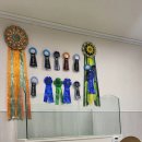 포켓불독 이미지