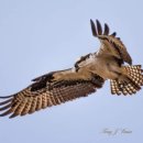 이글골프클럽 이미지