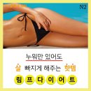 뷰티 앤 독 이미지