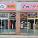 예손태권도 이미지