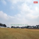 세컨더블비 이미지