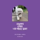 스퀘어에듀센터 이미지