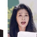 부선 이미지