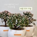 산호동542 이미지