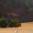 스테이다독 이미지