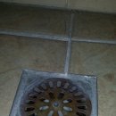 멘토르어린이집 이미지