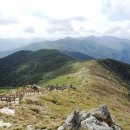 향로산 자연휴양림 이미지