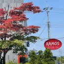 옛경춘로 L 이미지