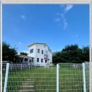 보성애견 이미지