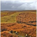 시골당구클럽 이미지