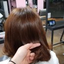 누구나 꽃 헤어샵 네이버블로그