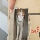 군서면보건지소 이미지