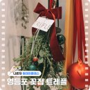 튜울립 꽃 주머니 만들기 | 영등포 꽃집 트레플에서 만드는 크리스마스 스와그 원데이 클래스