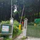 보성 | 무등산편백자연휴양림|화순고인돌전통시장|홍이네|비봉공룡공원|제암산자연휴양림 | 특미관...