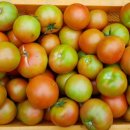 물안골농장 이미지