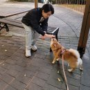 과일에반하다프루타홍대점 | 10월셋째주_신라스테이,리움미술관,부자피자,러브레터