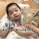 스푼 | 릴리팟 이유식용기 추천 | 내열 유리용기&amp;이유식 스푼 사용 후기