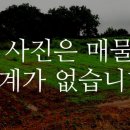 이매목장 네이버블로그
