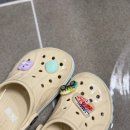 씻고신고 신발세탁 | 다이소 발을씻자 후기,크록스 세탁방법과 전후차이