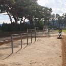 흥해서부초 병설유치원 이미지