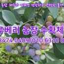 제주승마협동조합