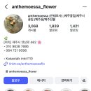 제주 웨딩 스냅 가성비 생화부케 안테모사플라워샵 촬영 후기