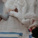 와우 동물병원 이미지