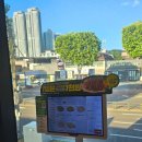 라라코스트 | 대구 수성구 들안길 양식맛집 라라코스트 내돈내산 후기