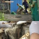 새서울농장(2) 이미지