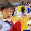 강한친구들태권스쿨 이미지