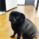 브로드웨이뮤지컬센터학원 이미지