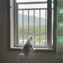 성북동-849 | [5월 일상로그] 엄마생일/HBD/ 별보러가자⭐️/남양주 오리주물럭/ 현대프리미엄아울렛 스페이스원/ 범죄도시2