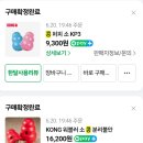 투마이퍼피 | 실내에서 즐기는 강아지 놀이｜다견가정도 만족한 KONG 토이 리뷰 | KONG TOY 강아지 장난감