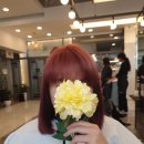 리안헤어노원역점