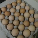만들기 쉬운 버섯 계란장조림 이미지