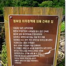 외씨버선길(치유의길) 이미지