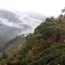 고산녹차민박 이미지