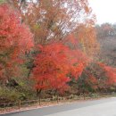 치악산 국립공원 여행(치악산 둘레길 2 코스 - 구룡길) 이미지