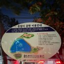 운암지 생활공원 | 대구 칠곡 운암지수변공원 야간산책