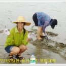 용신16 이미지