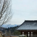 진접읍 광릉수목원로(봉선사 입구 ~ 남양주시계) | 서울 근교 겨울 템플스테이 봉선사 2박 휴식형 후기