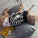 더힐러스병원 | 지금도 기억하고 있어요 시월의 마지막 밤을!